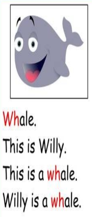 WH DIAGRAPH Reader: Willy the Whale